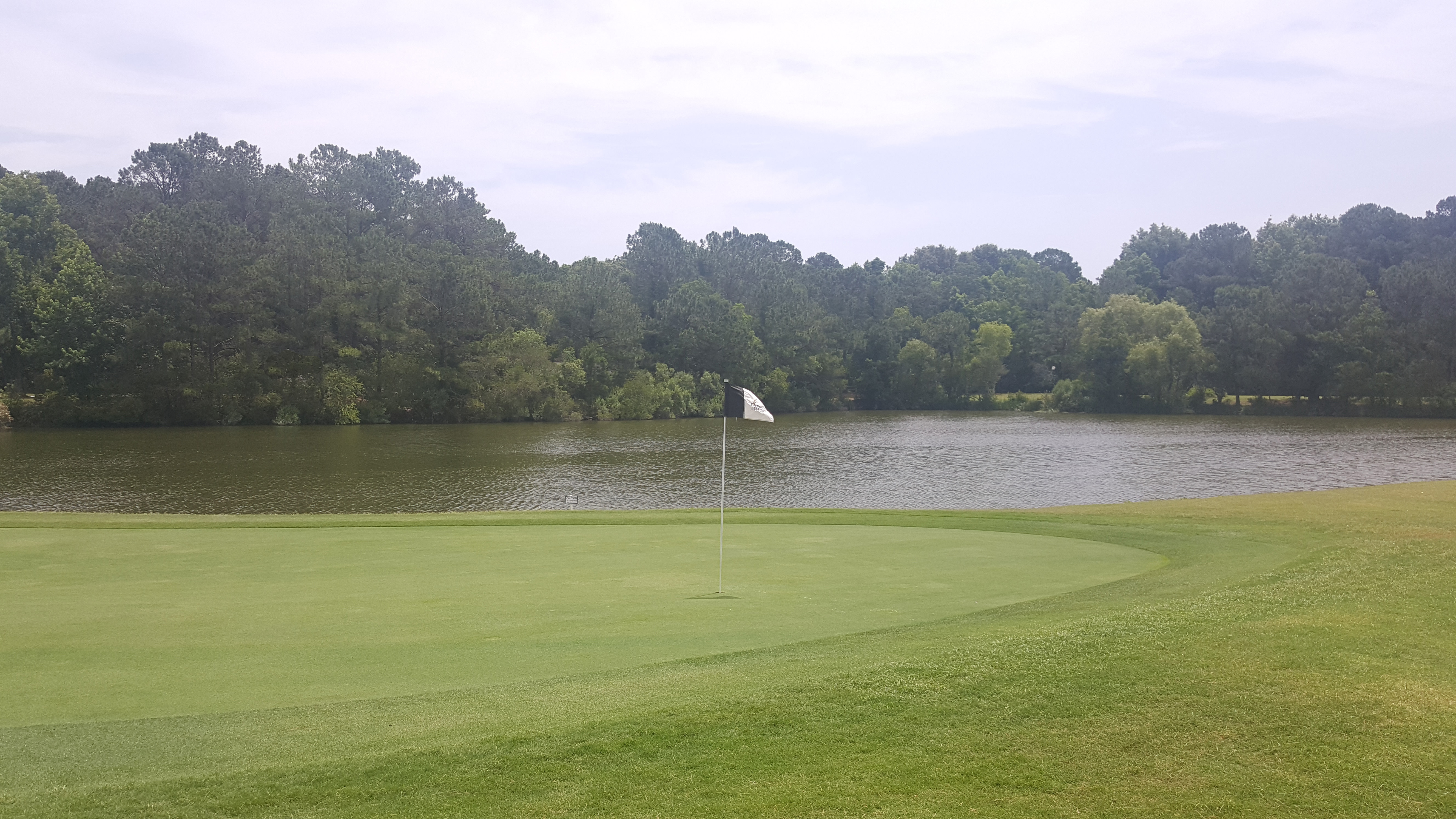 8th Hole